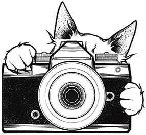 Lali Torres Fotografía logo: a cat peeking over a camera